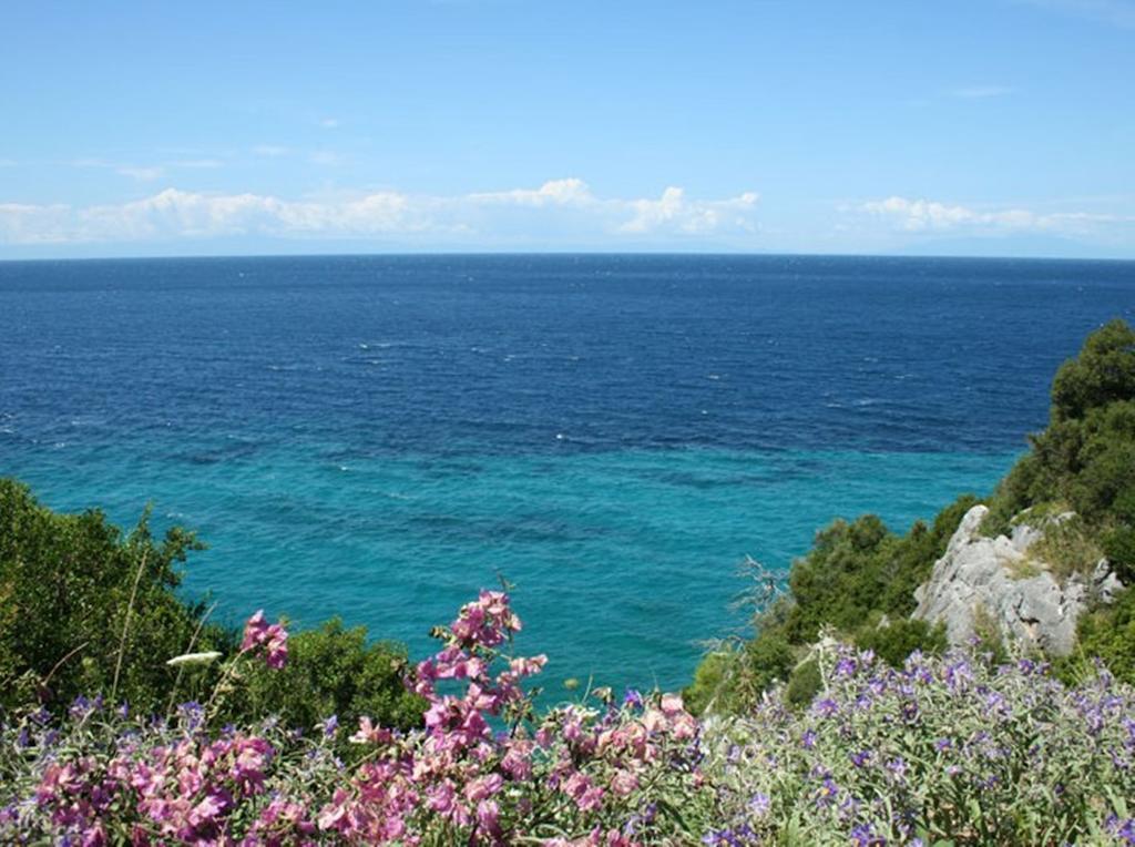 גראקיני Gerakina Skala Holiday Houses מראה חיצוני תמונה